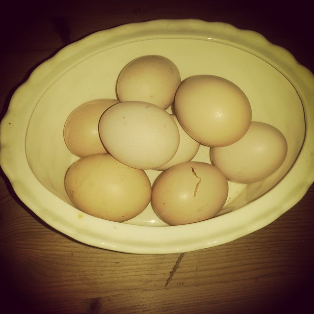 Castle Farm Eggs